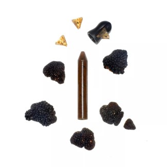 Coffret 1 crayon : Truffe noire